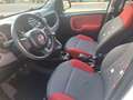 Fiat Panda Easy 1 HAND TÜV 07 2027 INSPEKTION NEU Weiß - thumbnail 4