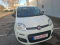 Fiat Panda Easy 1 HAND TÜV 07 2027 INSPEKTION NEU Weiß - thumbnail 7