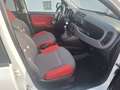 Fiat Panda Easy 1 HAND TÜV 07 2027 INSPEKTION NEU Weiß - thumbnail 13