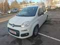Fiat Panda Easy 1 HAND TÜV 07 2027 INSPEKTION NEU Weiß - thumbnail 9