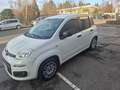 Fiat Panda Easy 1 HAND TÜV 07 2027 INSPEKTION NEU Weiß - thumbnail 10
