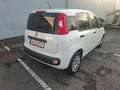 Fiat Panda Easy 1 HAND TÜV 07 2027 INSPEKTION NEU Weiß - thumbnail 14