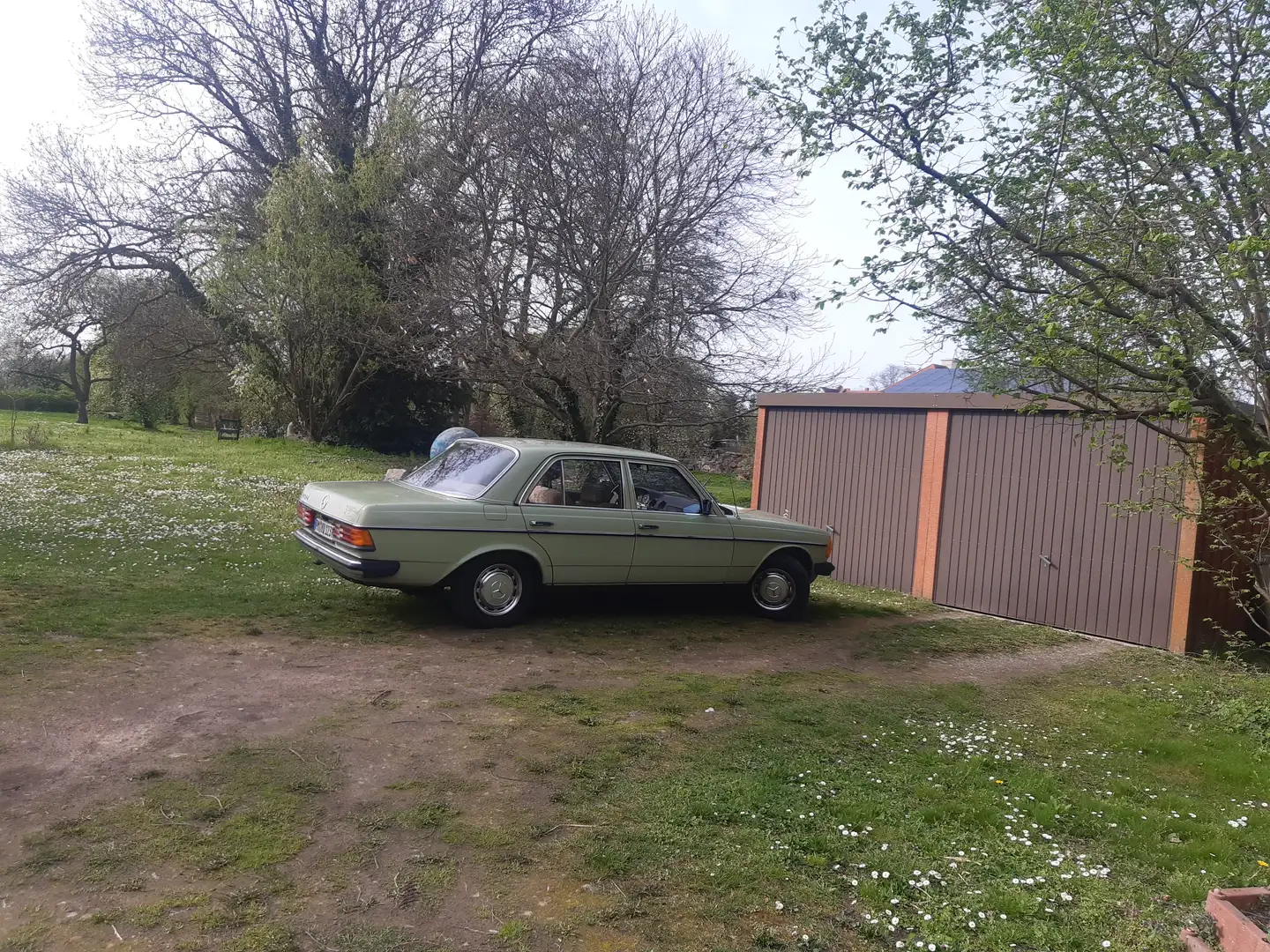 Mercedes-Benz 240 W123 Verde - 2