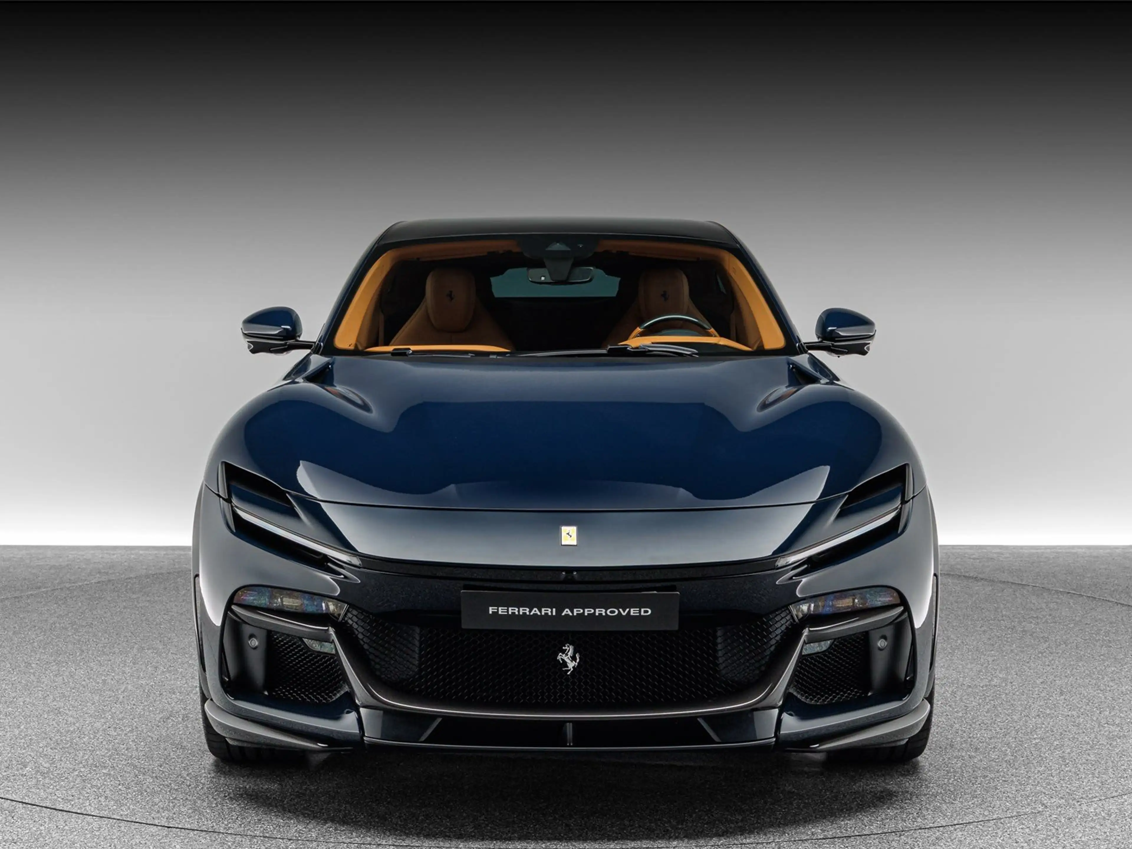 Ferrari Purosangue — photo 10