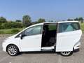 Ford B-Max B-Max1.0 ecoboost Plus 100cv E6 Bianco - thumbnail 3