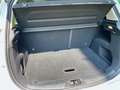 Ford B-Max B-Max1.0 ecoboost Plus 100cv E6 Bianco - thumbnail 9