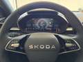 Skoda Fabia Selection Rot - thumbnail 11