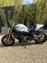 Ducati Monster 1200 Wit - thumbnail 1