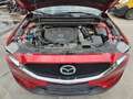 Mazda CX-5 Kangei 2WD Rot - thumbnail 14