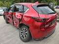 Mazda CX-5 Kangei 2WD Rot - thumbnail 6