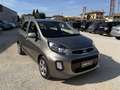 Kia Picanto 1.0 Active 66cv 5p Gris - thumbnail 3