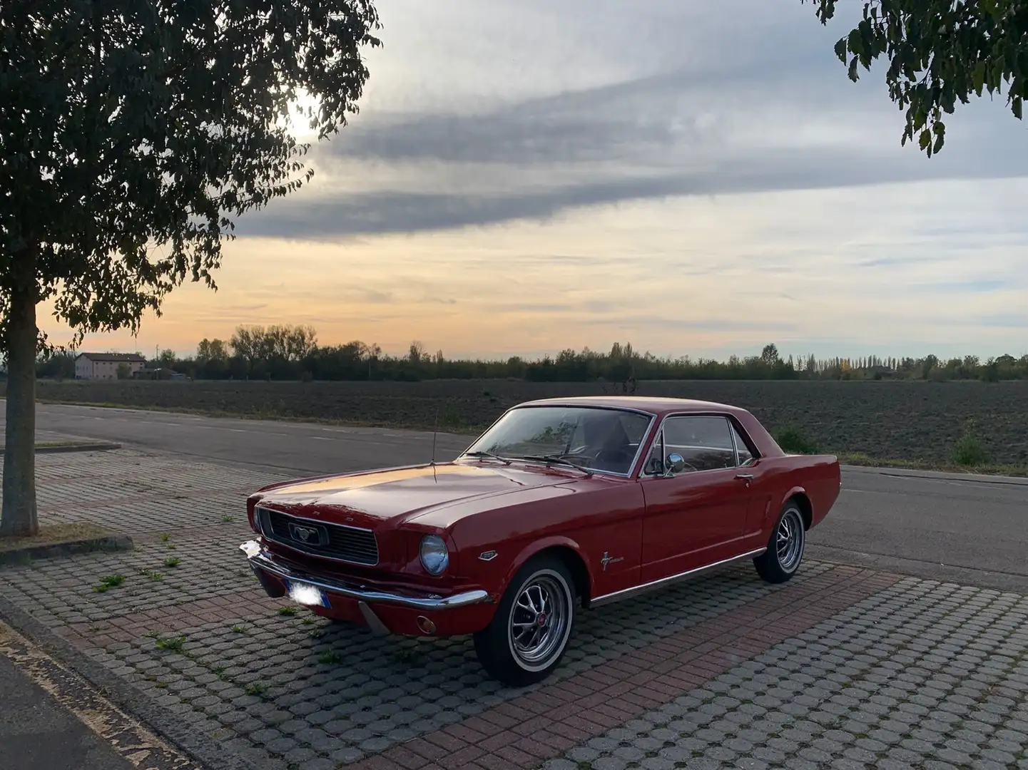 Ford Mustang coupé W8 289 Rosso - 1