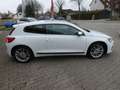Volkswagen Scirocco 1.4 TSI BMT *PANO*BT*PDC*78TKM* Weiß - thumbnail 8