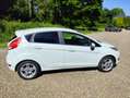 Ford Fiesta Fiesta 1.0 EcoB. Hot Hatch Wit - thumbnail 3