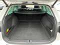 Volkswagen Passat Variant Business 2,0 SCR TDI DSG | NP: €49.600 Weiß - thumbnail 15