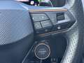 CUPRA Formentor 2.0 TSI 4DRIVE PANO BEATS MEMORY FULL LINK Grijs - thumbnail 22