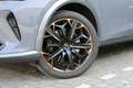 CUPRA Formentor 2.0 TSI 4DRIVE PANO BEATS MEMORY FULL LINK Grijs - thumbnail 11