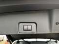 Nissan X-Trail X-TRAIL 1.5 VC-T e-POWER 204 PS Tekna 5 Sitze Gris - thumbnail 30