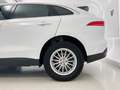 Jaguar F-Pace 2.0i4D Pure RWD 163 Blanc - thumbnail 19