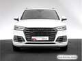 Audi Q5 55 TFSI e qu. S tronic S line Luftfed/Pano/AH Weiß - thumbnail 5