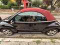 Volkswagen New Beetle 1.6 Cabrio Edizione limitata RED Edition BORDEAUX Nero - thumbnail 1