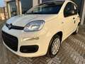 Fiat Panda Panda 1.0 firefly hybrid City Life s Bianco - thumbnail 15