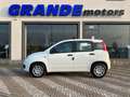 Fiat Panda Panda 1.0 firefly hybrid City Life s Bianco - thumbnail 4