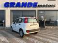 Fiat Panda Panda 1.0 firefly hybrid City Life s Bianco - thumbnail 5