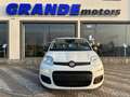 Fiat Panda Panda 1.0 firefly hybrid City Life s Bianco - thumbnail 2