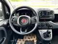 Fiat Panda Panda 1.0 firefly hybrid City Life s Bianco - thumbnail 9