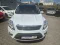 Ford Kuga TüvNEU/PanoramaDach/Bordcomputer/PDC2x/Tempo Weiß - thumbnail 6
