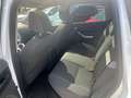 Ford Kuga TüvNEU/PanoramaDach/Bordcomputer/PDC2x/Tempo Weiß - thumbnail 8
