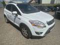 Ford Kuga TüvNEU/PanoramaDach/Bordcomputer/PDC2x/Tempo Weiß - thumbnail 5