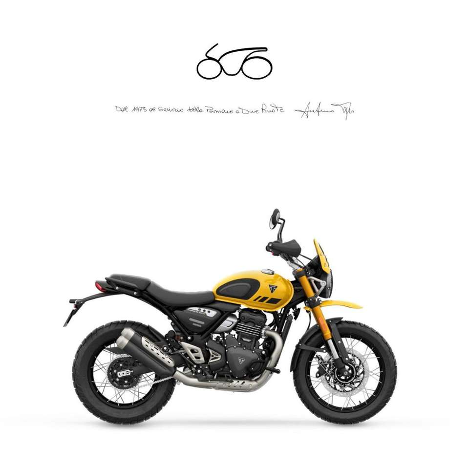 Triumph Others SCRAMBLER 400  XC