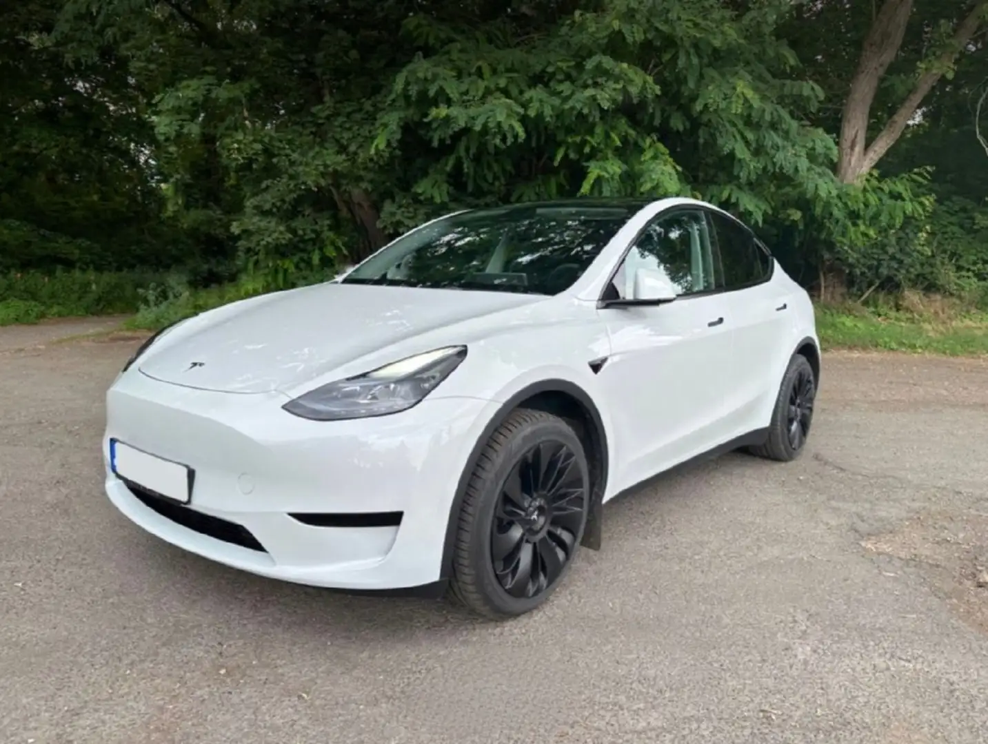 Tesla Model Y Model Y RWD Weiß - 1