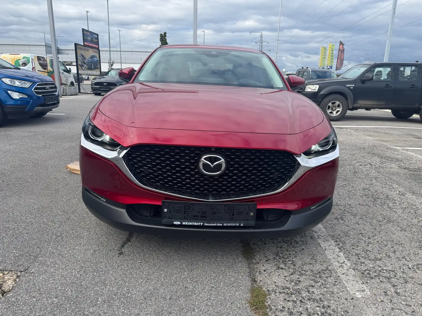 Mazda CX-30 G122 Comfort+ Automatik Rot - 2