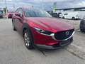 Mazda CX-30 G122 Comfort+ Automatik Rot - thumbnail 3