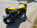 Ducati Scrambler Full throttle 800 Giallo - thumbnail 2