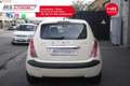 Lancia Ypsilon Lancia Ypsilon 1.3 Multijet 16V Unicoproprietario Beige - thumbnail 7