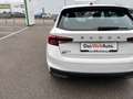 Skoda Fabia Essence - NEUWAGEN nur € 17.499,-* Weiß - thumbnail 20