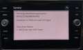 Volkswagen Tiguan 2.0 TSI 4Motion DSG | Business Premium | Grau - thumbnail 20