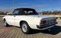Alfa Romeo Spider Spider 2.0 Veloce 128cv - thumbnail 8