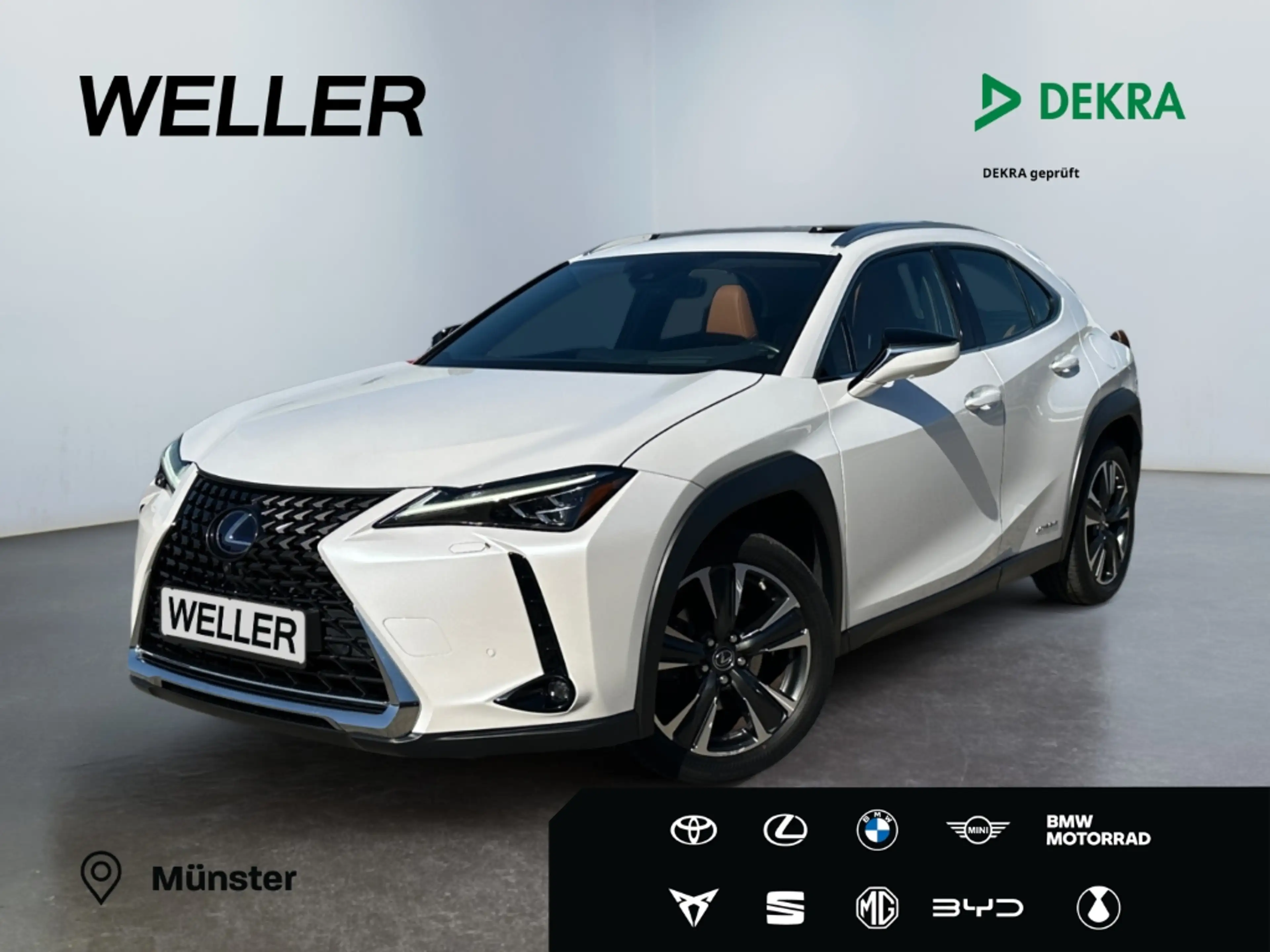 Lexus UX 250h Luxury Line *Matrix*HUD*Leder*360°*Memory*