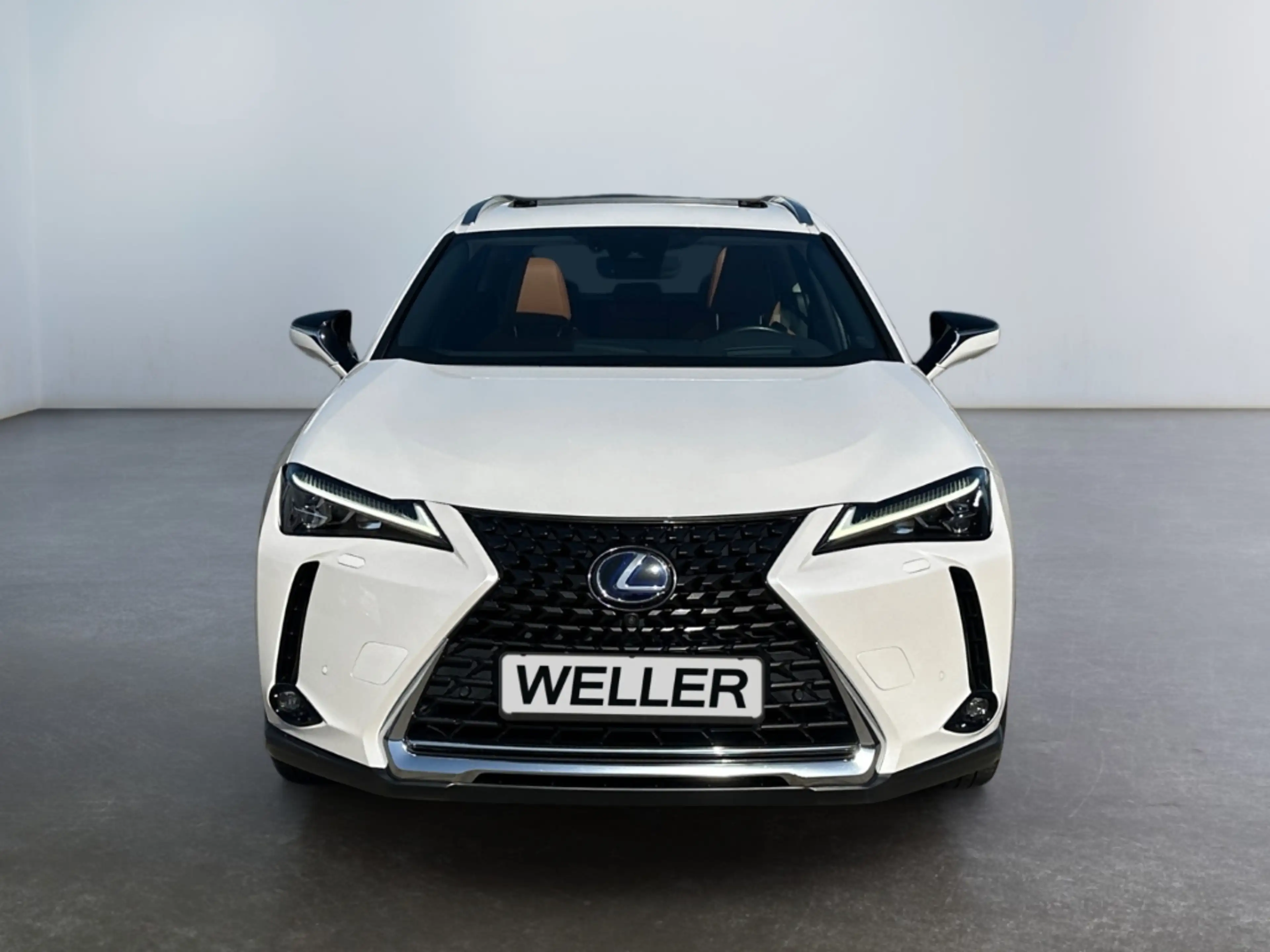 Lexus UX 250h Luxury Line *Matrix*HUD*Leder*360°*Memory* — photo 2