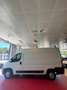 Citroen Jumper 33 BlueHDi 120 S&S PLM-TM Furgone Bianco - thumbnail 2