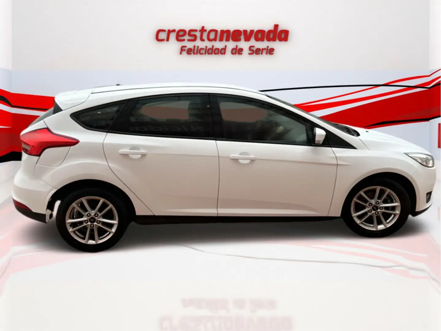 Ford Focus 1.5TDCi Business 120 Blanco - 2