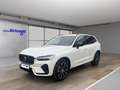 Volvo XC60 Plus Dark 2WD Neujahrskracher bis 31.01.26 Blanc - thumbnail 1