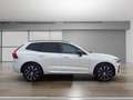 Volvo XC60 Plus Dark 2WD Neujahrskracher bis 31.01.26 Blanc - thumbnail 7
