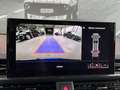 Audi RS4 Avant 2.9 TFSI V6 Quattro // B&O Sound System Bleu - thumbnail 20
