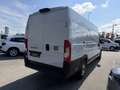 Fiat Ducato MAXI Kastenwagen L4H2 Automatik Weiß - thumbnail 6